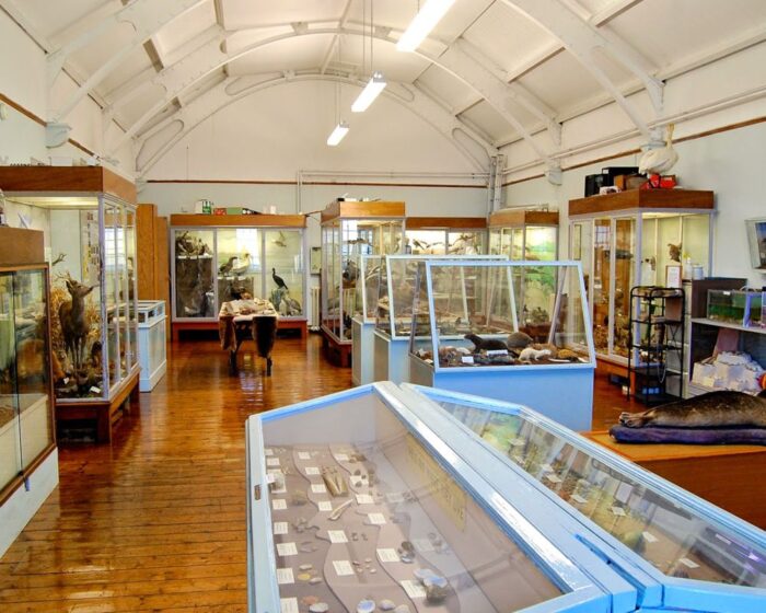 bute museum interior