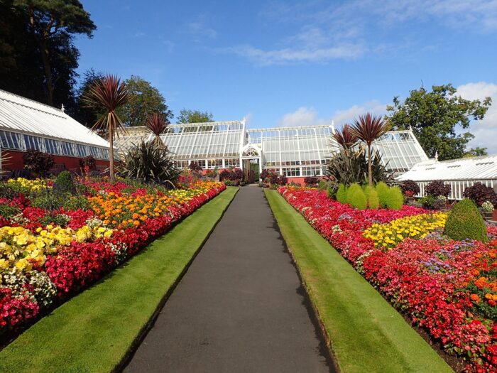 beautiful flowers at ardencraig gardens